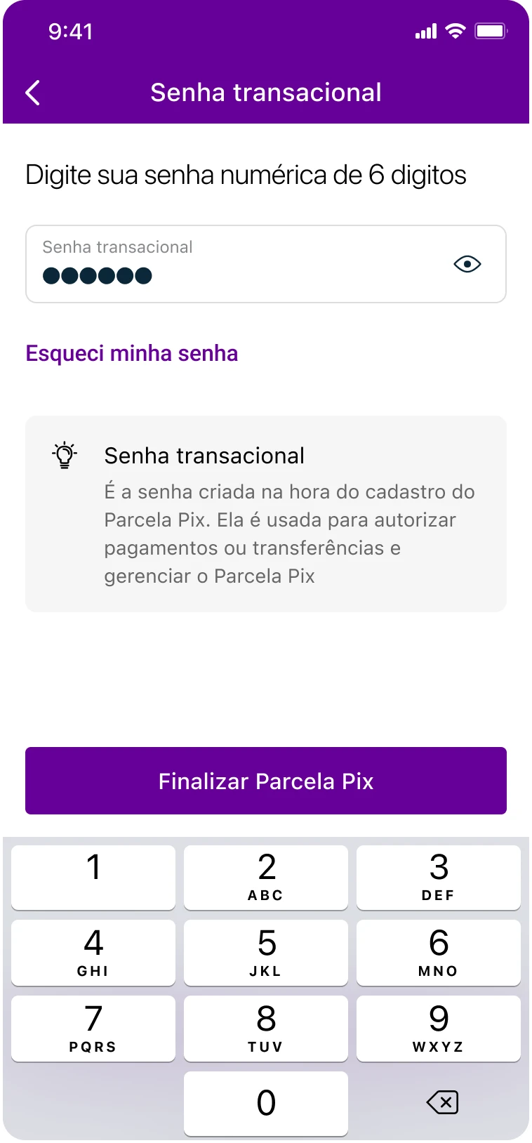 Parcela Pix — 13